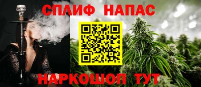 индика Партизанск