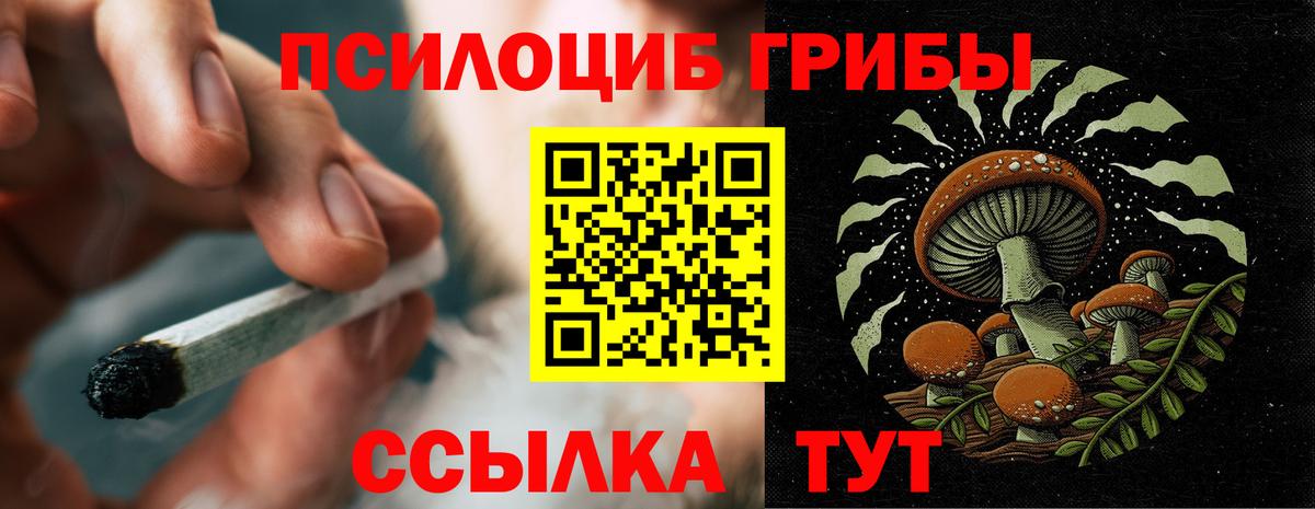 Сарапул  Галлюциногенные грибы прущие грибы  Вход с VPN 
